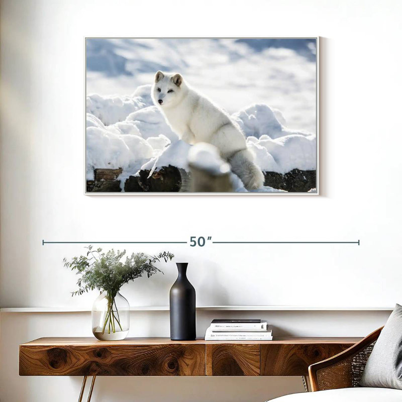 Arctic Fox, 37" X 25", Floating Frame White