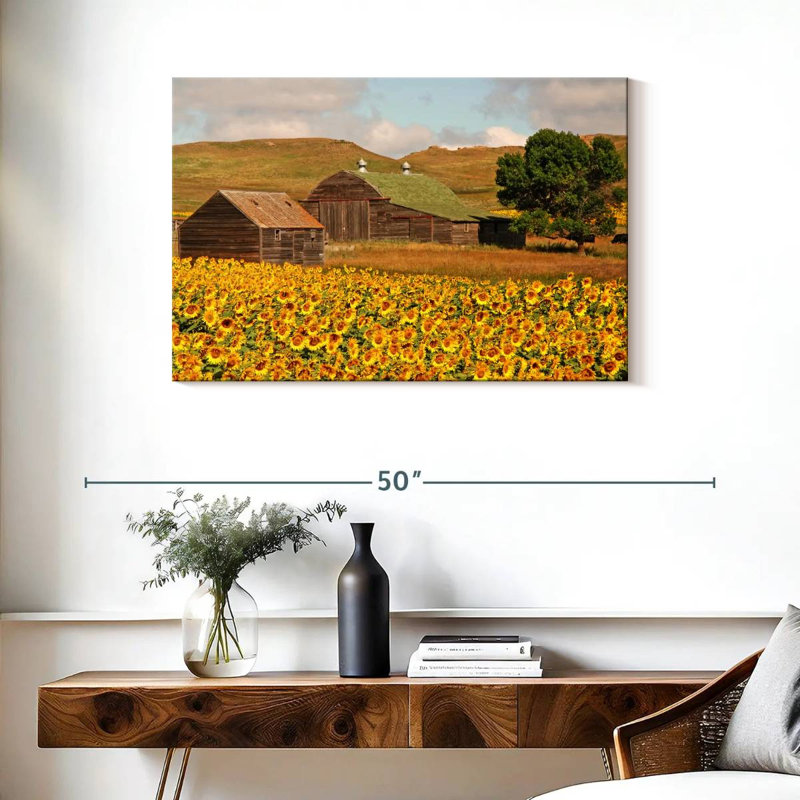 Champ de tournesols Alvord, H 24 po x l 36 po