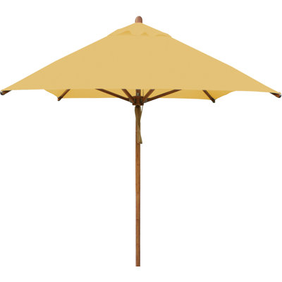 Levante 120'' W Umbrella