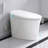 Bulit-in Tank Smart Toilet With Air Dryer, Multiple Wash Function And Night Light(Remote Included)