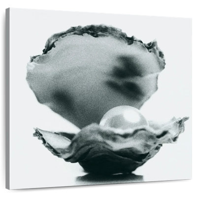 Brampt Monochromatic Oyster Pearl