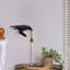 Kennan Wall Sconce