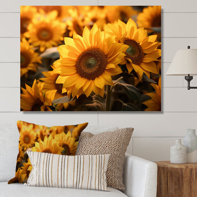 " Yellow Sunflowers Field "