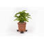 Zumalai Weather Resistant Planter Feet
