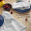 KATE SPADE NEW YORK Hand Painted Shirting Stripe Napkin Set 20"x20"-101773045