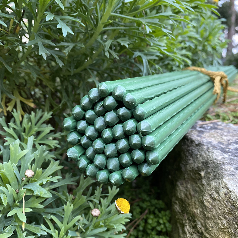 Chadd Plant Support, 60cm H x 0.8cm W x 0.8cm D