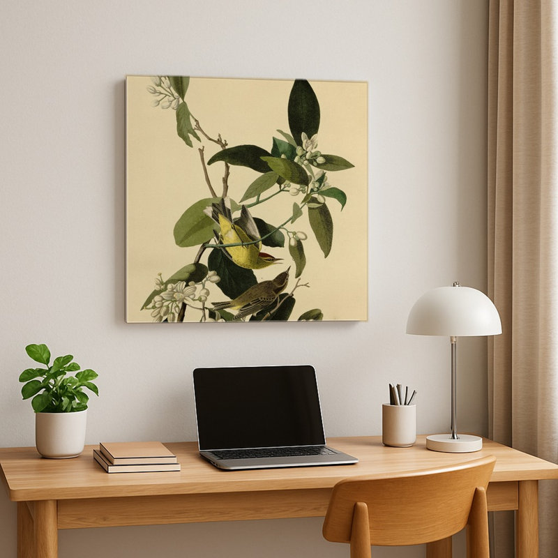 Fauvette à couronne palmée (Planche CXLIII) — Décoration murale carrée en métal, 16" H x 16" W
