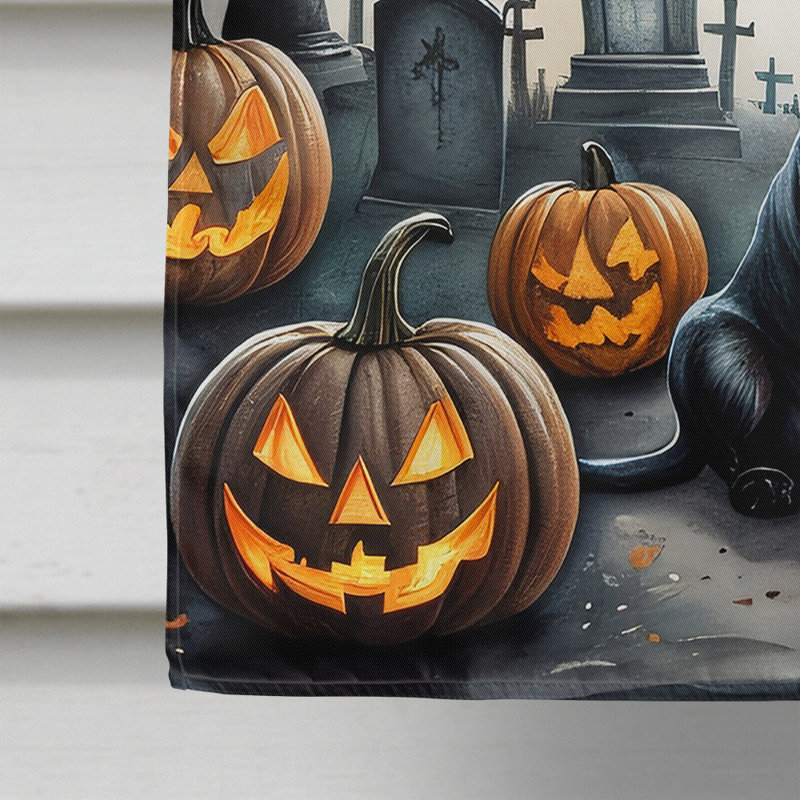 Double Sided 40'' H x 28'' W Polyester Halloween House Flag
