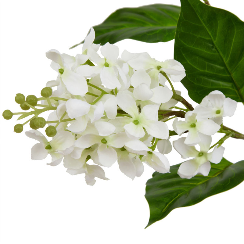 The Natural Garden Collection Lilac Stem, White