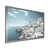 Silver Single Picture Framed