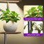 Support pour plante d'intérieur en métal 51 po avec lumière de croissance et télécommandes pour plantes multiples