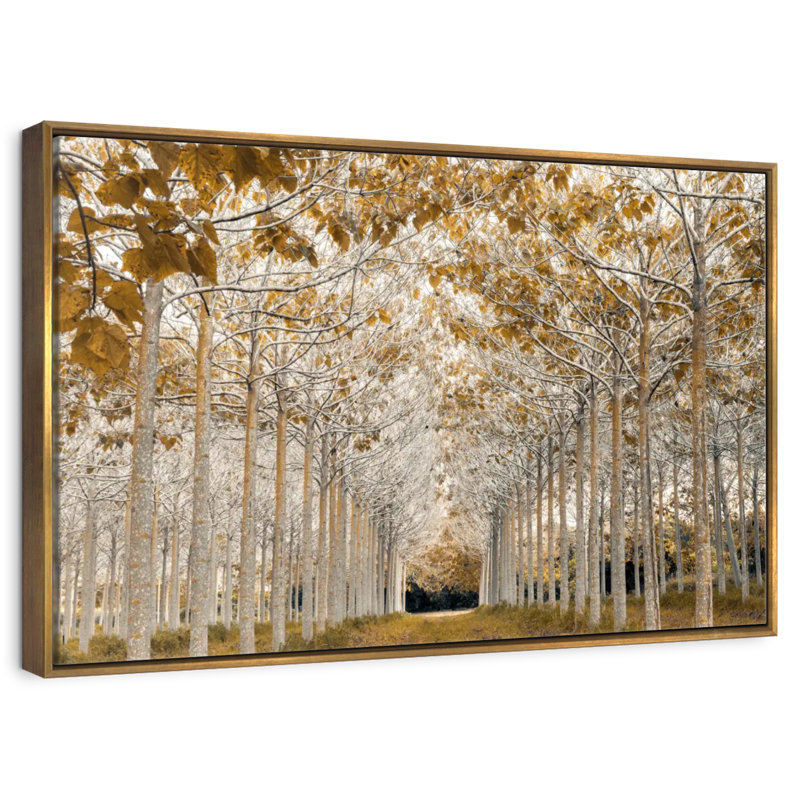 Or blanc, 46 po x 31 po, Cadre flottant doré