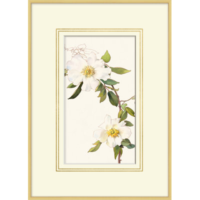 Blooming Study 9 Print