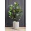 Demi Series Round Planter-83894852-86823201-83894856
