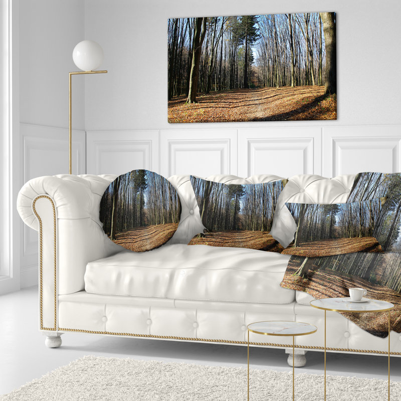 Forêt d'automne à la lumière du soleil et des ombres - Coussin décoratif imprimé forêt