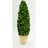 Boxwood Topiary in Terracotta Pot-1391307343