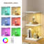 Glass 38 cm W Display Cabinet-1866153053