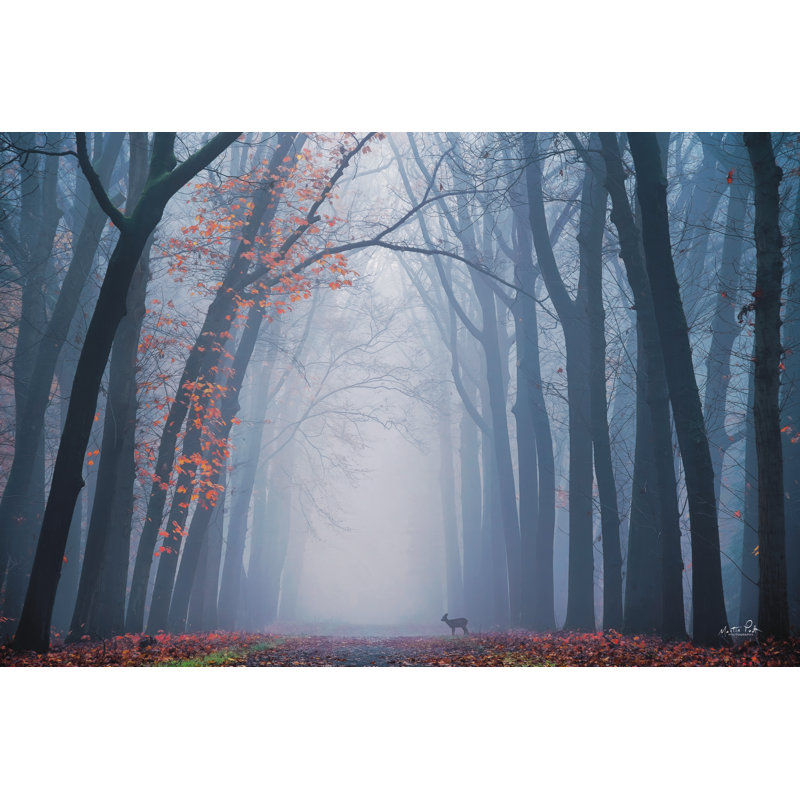 «Oh Deer!» Par Martin Podt sur, Non, H 8 po x l 12 po, Toile encadrée noire