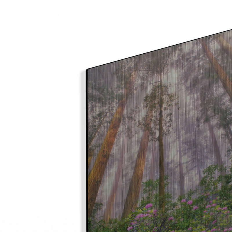 «Look Up» par Dennis Frates, H 16 po x l 12 po