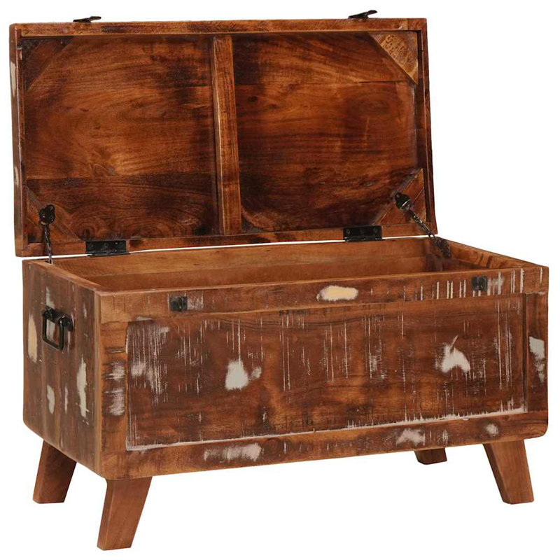 Camp Trunk / Footlocker, Multicolour