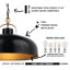 Luminaire suspendu en dôme à 1 lumière Avellana