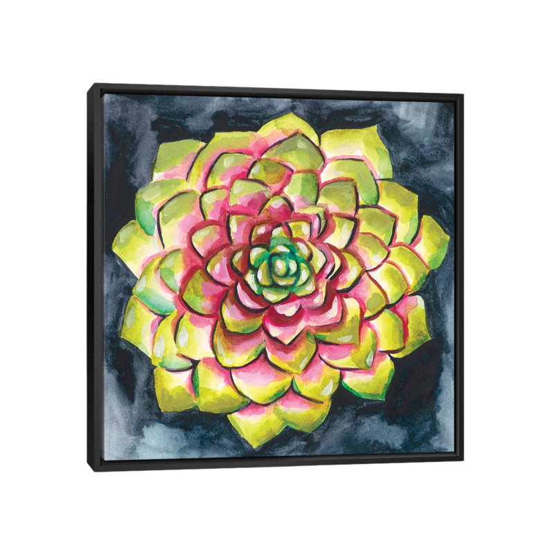 « succulent rosette iii », reproduction sur toile, H 18 po x l 18 po x P 1,5 po, Toile avec cadre noir, Pas de tapis