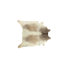 Brun Clair/Blanc