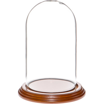 Jenett 4" x 7" Glass Display Dome Cloche