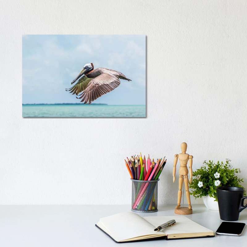 Belize, Ambergris Caye. Adult Brown Pelican Flies Over The Caribbean Sea by Elizabeth Boehm - Wrapped Canvas Print