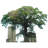 Cotton Tree Sierra Leone Most Famous Trees Cardboard Cutout Standee Standup