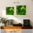 Crowle Perched Emerald Hummingbird-109399535