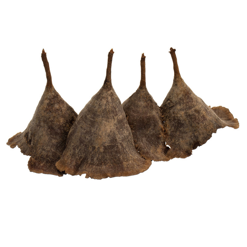 Vickerman 3-10" Natural Calice Multipiece Specimens, approximately 100 multi piece units, Dried