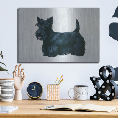 «Scottish Terrier» par Harro Maass