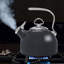 Classique 1,8 pte Bouilloire pour cuisinière en acier inoxydable-6897943