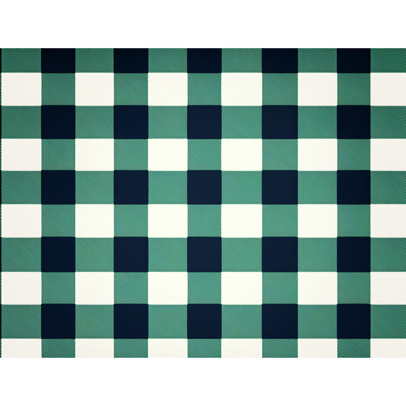 Polyester Comforter, Twin Comforter, Green/Navy Gingham