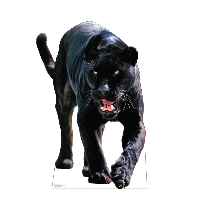 Black Jaguar