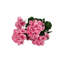 Ensemble de 3 plantes à fleurs artificielles-650102558
