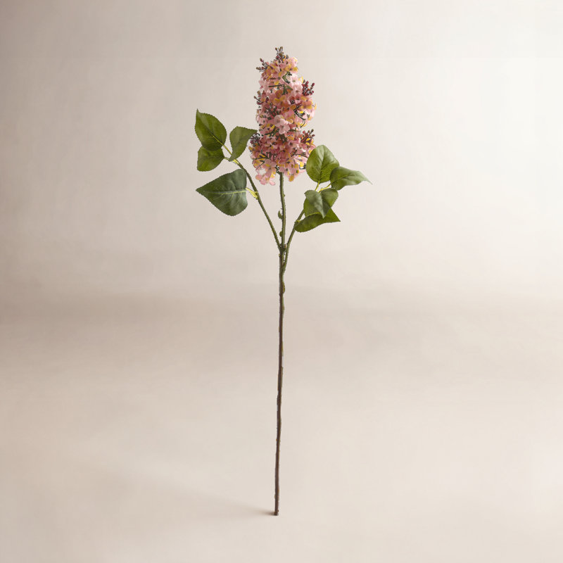 Tige de lilas Toscani, Rose