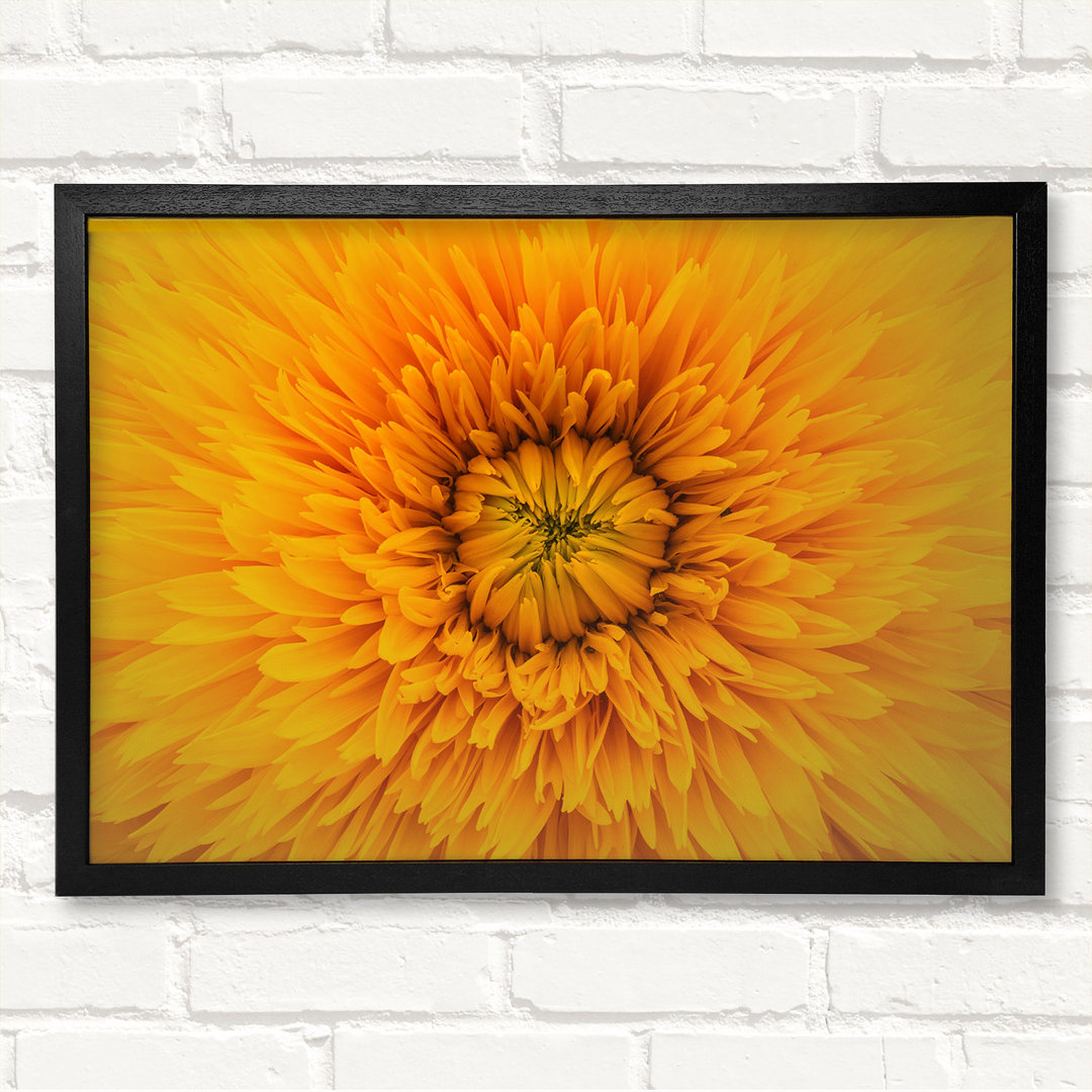 Gorgeous Yellow Flower Delight - Geschlossener Eckrahmen Kunstdrucke auf Holz