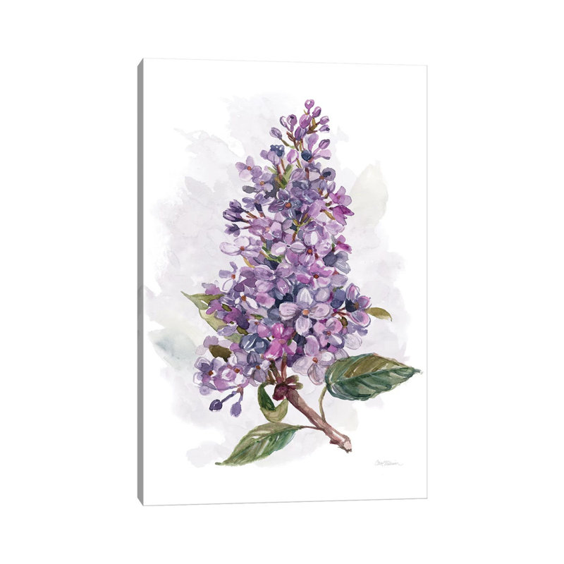 Awash In Lilac I by Carol Robinson - Painting on Canvas, 101.6 cm H x 66.04 cm W x 1.91 cm D, Wrapped Canvas