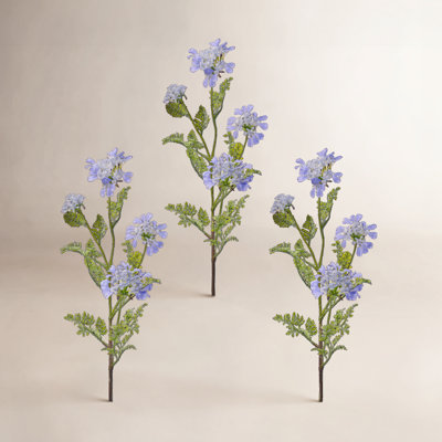 Field Yarrow Stems