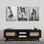 3 Piece Wrapped Canvas Set
