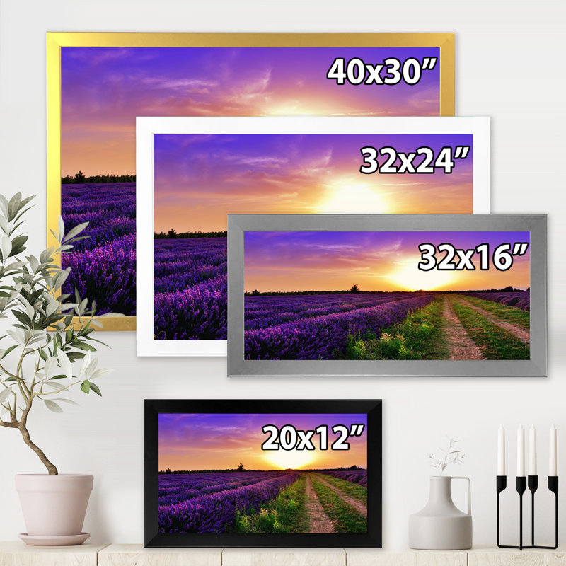 «Lavender Field At Dawn II», reproduction sur toile encadrée, H 12 po x l 20 po x p 1 po, Noir