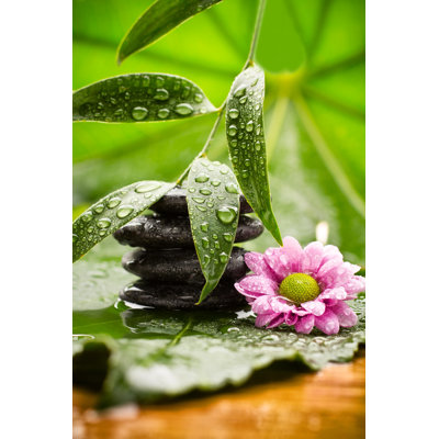 Spa Treatment by Gitusik - Wrapped Canvas Print