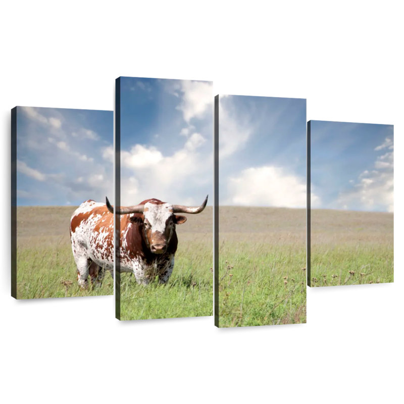 Brampt Oklahoman Texas Longhorn, 32" H x 52" W