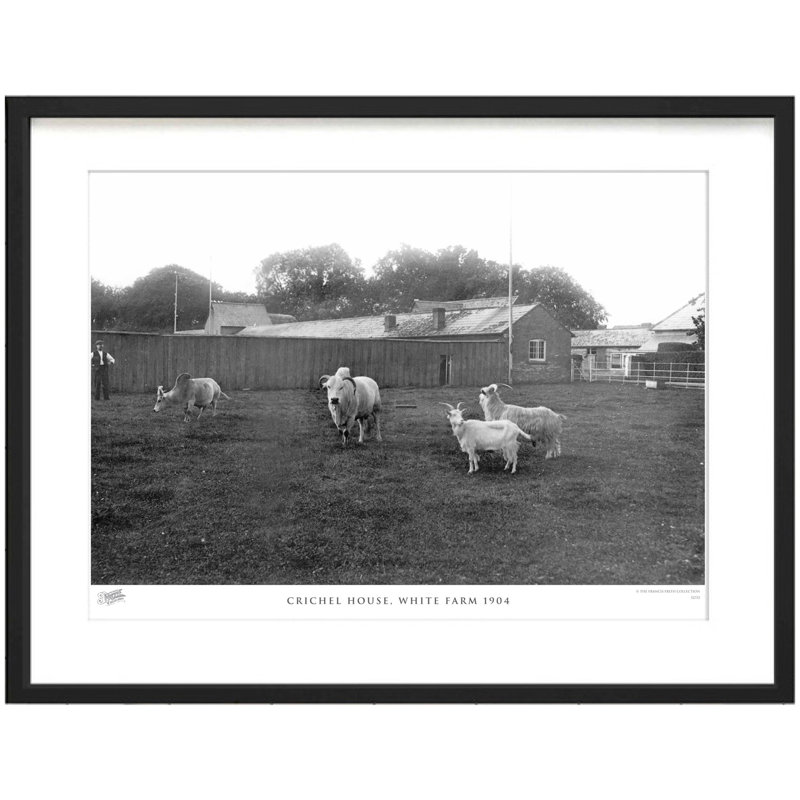 Crichel House, White Farm 1904 by Francis Frith - Single Picture Frame Print, 60cm H x 80cm W x 2.3cm D