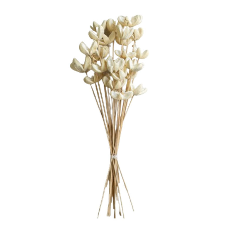  Bundle of 24 Bleached Bullet Flowers on Stems – 29"H