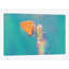 « small wonders », reproduction de photo sur toile-21710024-74596522-74596523