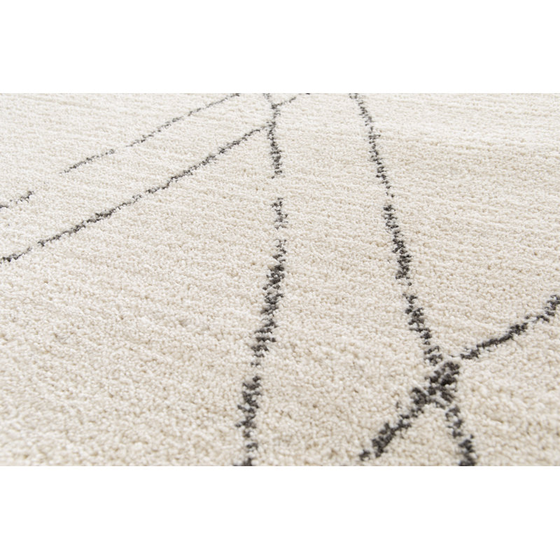 High-pile Berber Style Cream and Black Rug