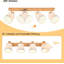 Flush Mount